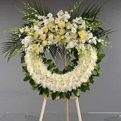 Sympathy 9