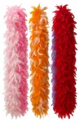 2026 Feather Boas