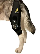 Agon Dog Knee Brace with Adjustable Hinge [DS007Y]