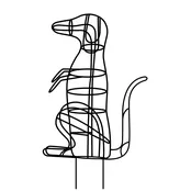 Dachsund on hind legs