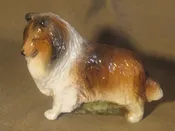 Collie “Magesty”