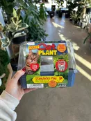 Catnip Grow Kit — Urban Planting Cleveland