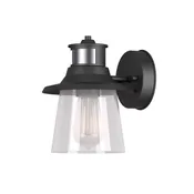 Juno 1-light Matte Black Wall Sconce With Seeded Glass Shade