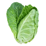 Caraflex Cabbage