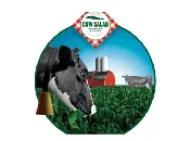 Cow Salad Corn - Long Season