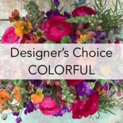 Designer's Choice - Colorful