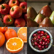 HarvestClub™ Americana