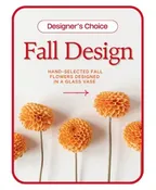 DESIGNER'S CHOICE FALL DESIGN