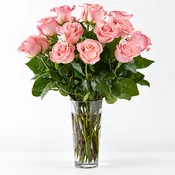 18 Roses Arranged