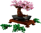 Bonsai Trees