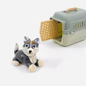 Captain, Puppy and Crate