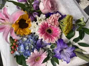 Summer mix of Flowers