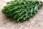 Organic Rosemary