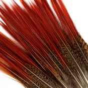 10 PC/PKG Golden Pheasant Red Top Tail Feathers  8-10" - Natural