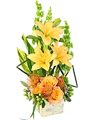 TROPICAL HONEY