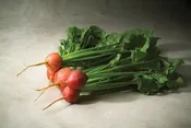 Beta vulgaris ‘Touchstone Gold’ Beets