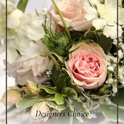 Designer's Choice