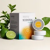 Green Tea + Lime Leaf Refill (3-pack)