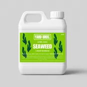Seaweed