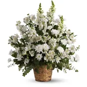 Heavenly Light by Teleflora