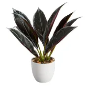 Faux Potted House Plant