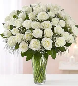 4 Dozen White Rose Vase