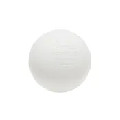 CHAMPION Balls Case White (120)