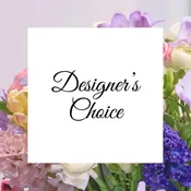 Designer's Choice - $80