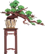 Modern Wooden Puzzle: Evergreen Pine Bonsai