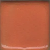 020 - Orange