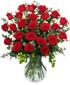24 ROSAS RADIANTES