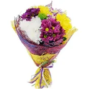 Chrysanthemen-Mix