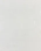 Duragard Premium, primed 3/4″ (G2S)