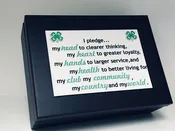 4H Box