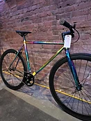Golden Bear Singlespeed/Fixed - Oil Slick — BIKEFIXNYC