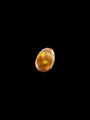 AAA Fire Agate