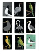 9 birds — Anne Made