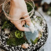 Online Tutorial — Roosevelt's Terrariums