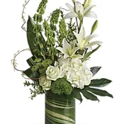 Botanical Beauty