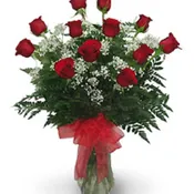 Roses with Baby’s Breath - choice of red, white, yellow,or pink. Please specify.