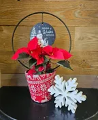 4" POINSETTIA WITH HOLIDAY SENTIMENT