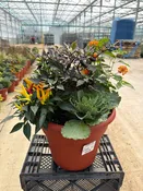 12" Planter Fall