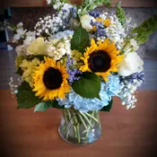 Sunflower elegance
