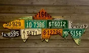 50" Colorado Brown Trout License Plate Art