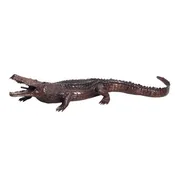 Alligator