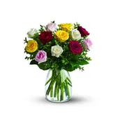 One Dozen Roses Assorted Colors