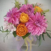 Dahlia Bright