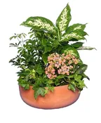 GARDEN PLANTER
