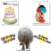 18"x24" BIG Funny Birthday Greeting Card Set of 6