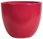 Athen's Pot - Raspberry